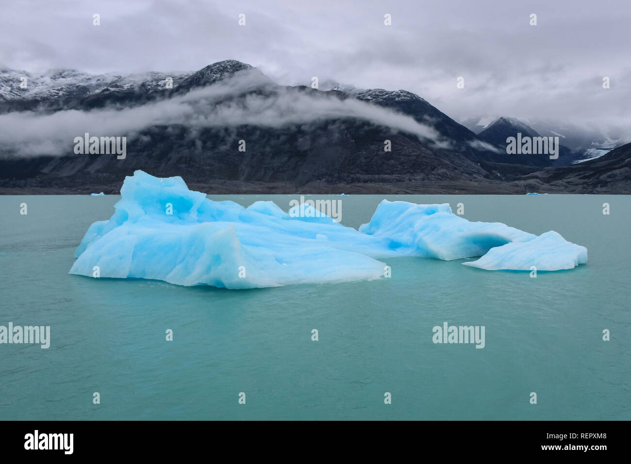 Blocchi di ghiaccio galleggiante nel Lago Argentino. El Calafate. Argentina. Patagonia Foto Stock