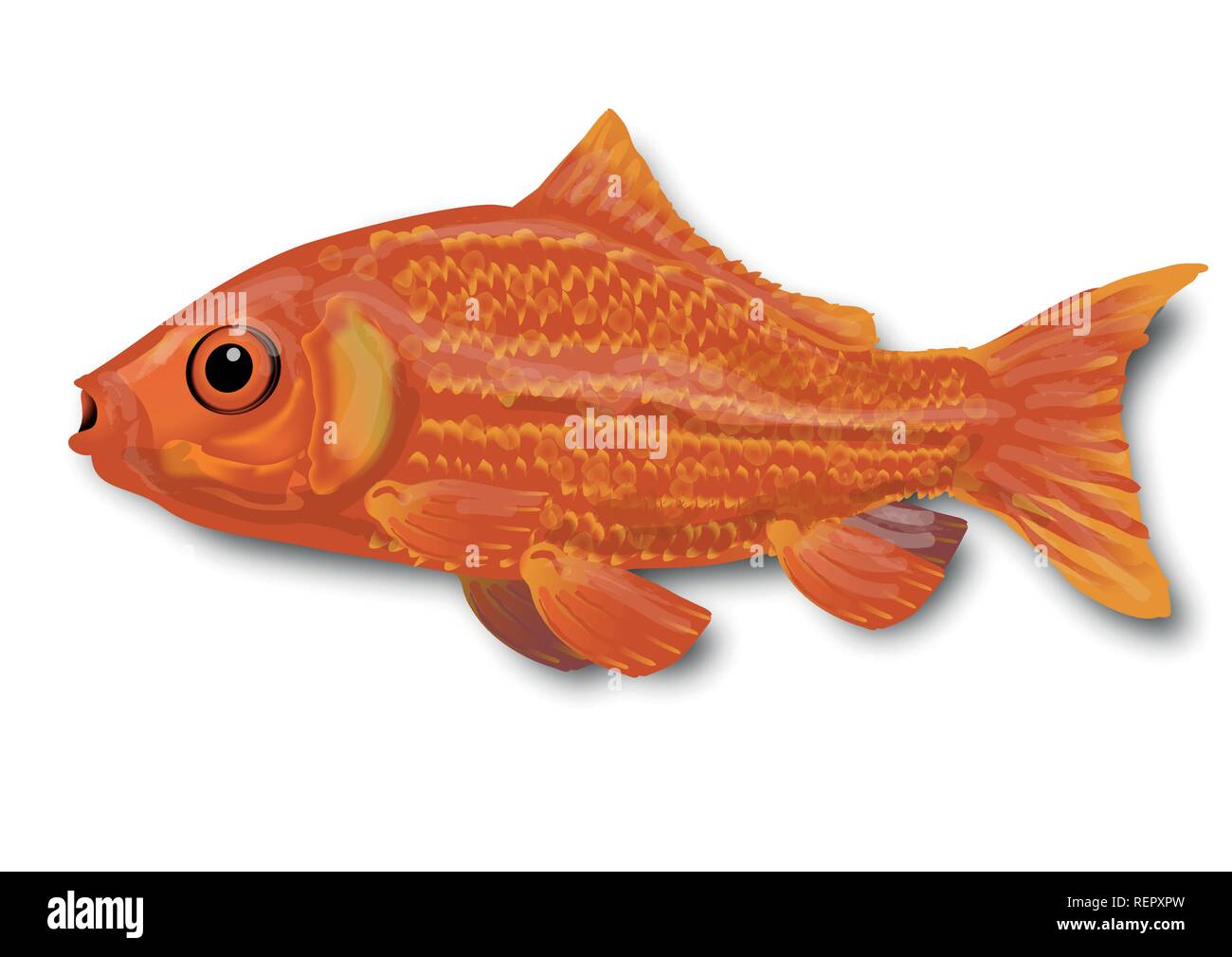 Poco goldfish nell'acqua Illustrazione Vettoriale