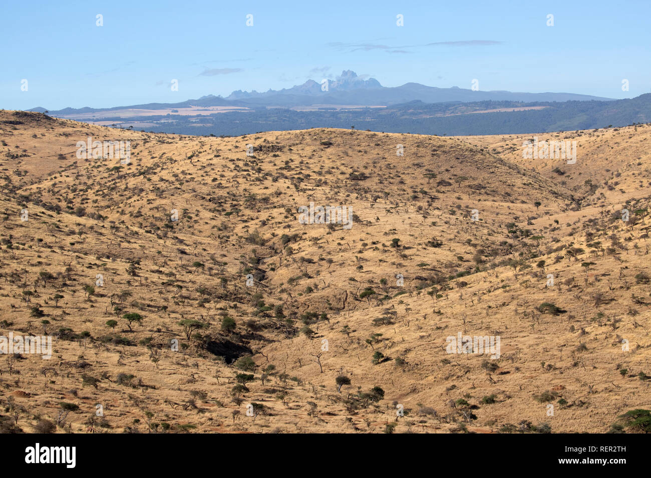 Semi aride macchia con il Monte Kenia dalla LEWA Wildlife Conservancy Kenya Foto Stock