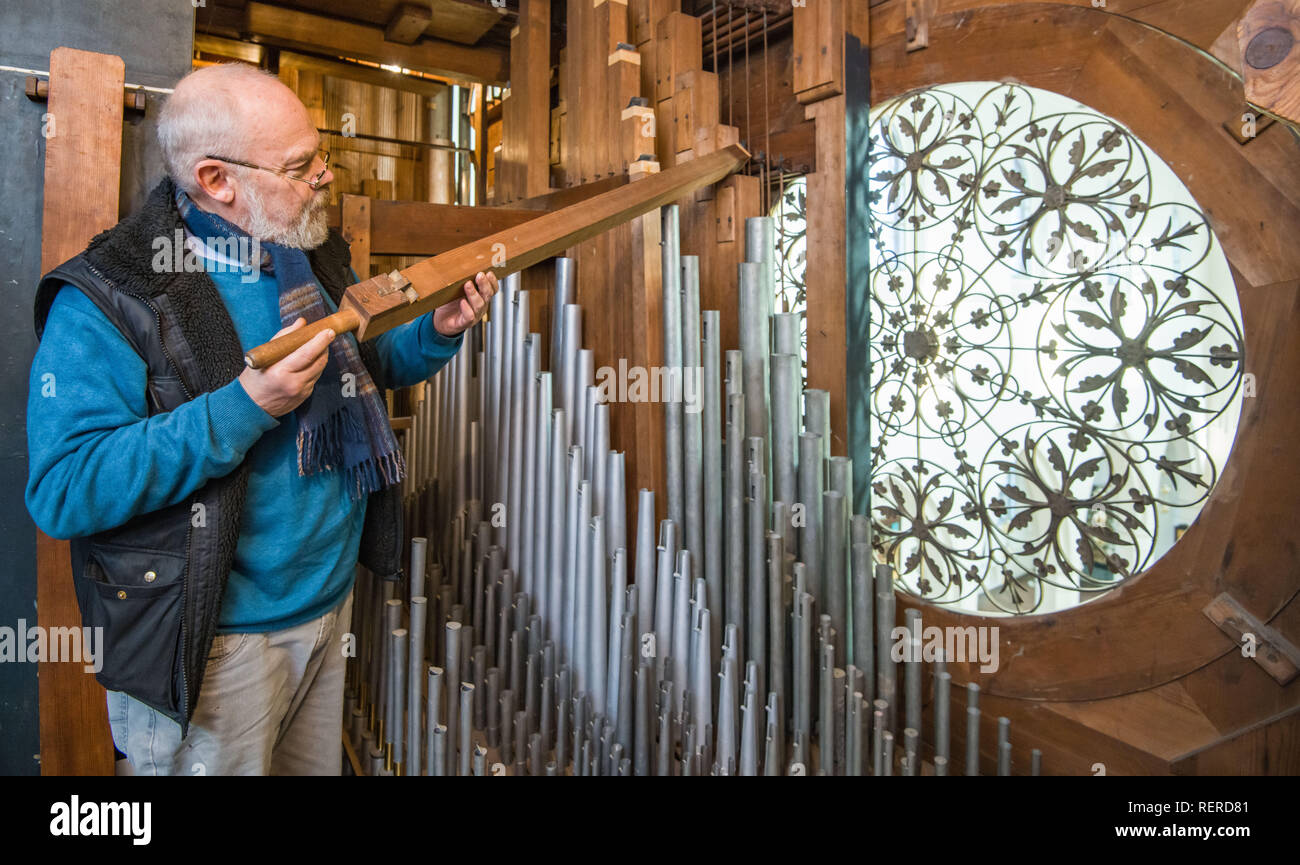 22 gennaio 2019, il Land Brandeburgo, Francoforte (Oder): Christian Scheffer, master organaro dalla società cristiana Orgelwerkstatt Scheffler GmbH in Sieversdorf, controlli di un tubo di legno durante la manutenzione all'interno del 140 anno vecchio organo Sauer in Sankt-Gertraud-Kirche. La secca e calda estate del 2018 ha interessato non solo la natura e gli agricoltori. Egli ha anche messo a tacere gli organi nelle chiese in molti luoghi. (A 'dopo la calda estate: innaffiatoi contro chiese secco' dal 23.01.2019) Foto: Patrick Pleul/dpa-Zentralbild/dpa Foto Stock