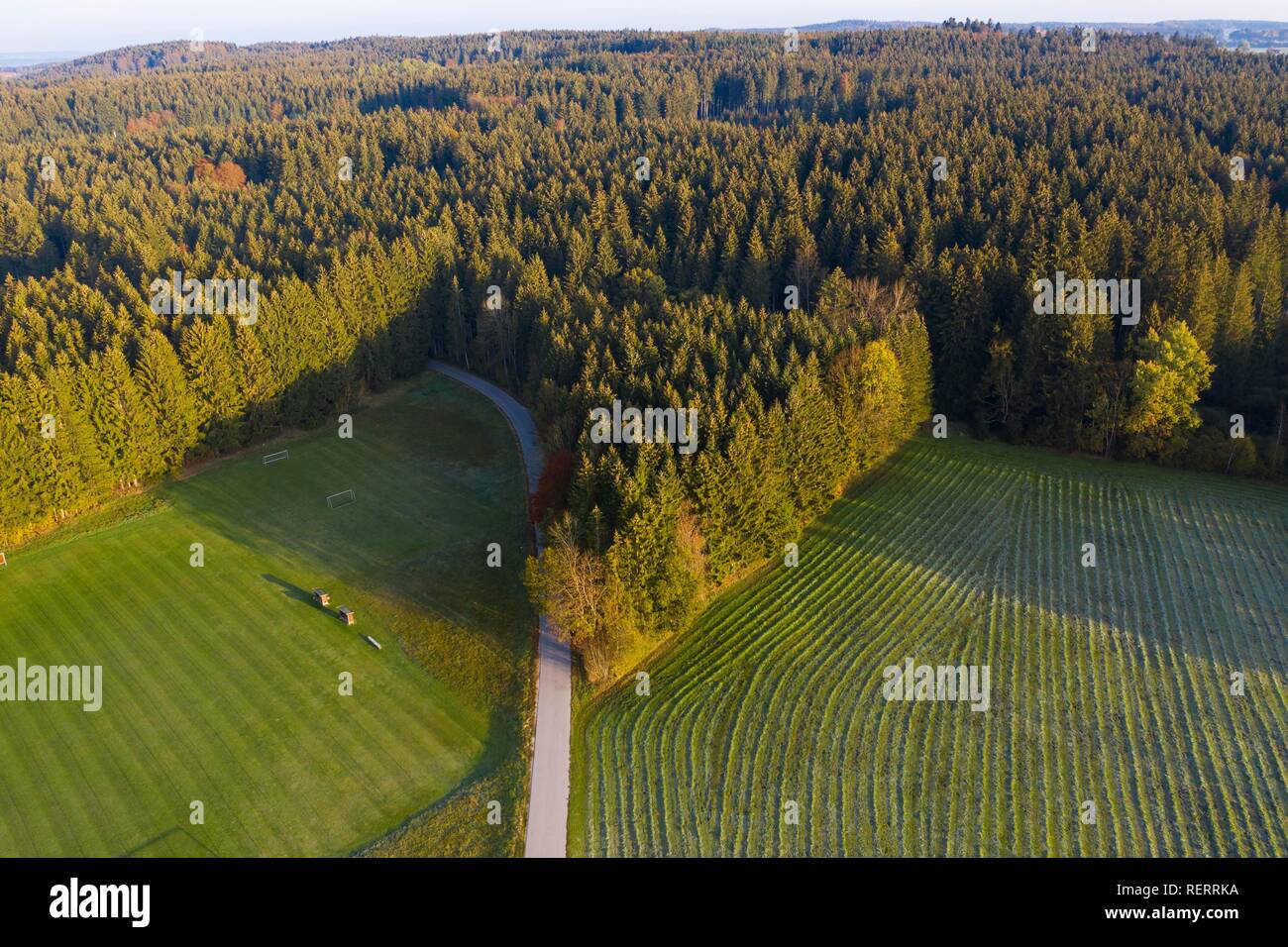 La foresta di abete rosso, campo sportivo e il prato, vicino Dietramszell, drone vista, Alta Baviera, Baviera, Germania Foto Stock