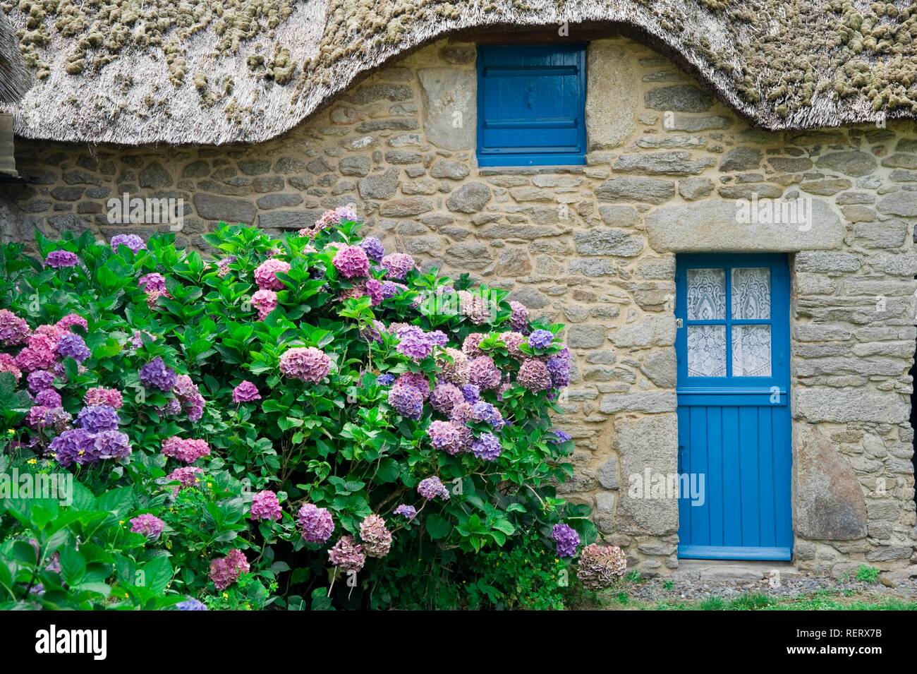 Cottage con tetto in paglia, Kerhinet village, Parco Naturale Regionale di La Brière o Grande Brière, Pays de Loire, Francia Foto Stock