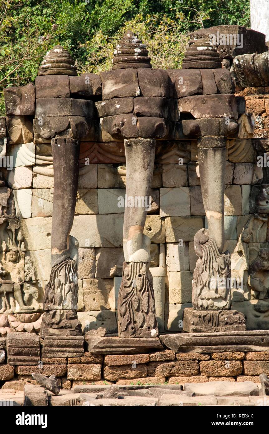 A tre teste elephant raccoglie un fiore di loto con i suoi tronchi, Terrazza degli elefanti, Angkor Thom, Patrimonio Mondiale dell UNESCO Foto Stock