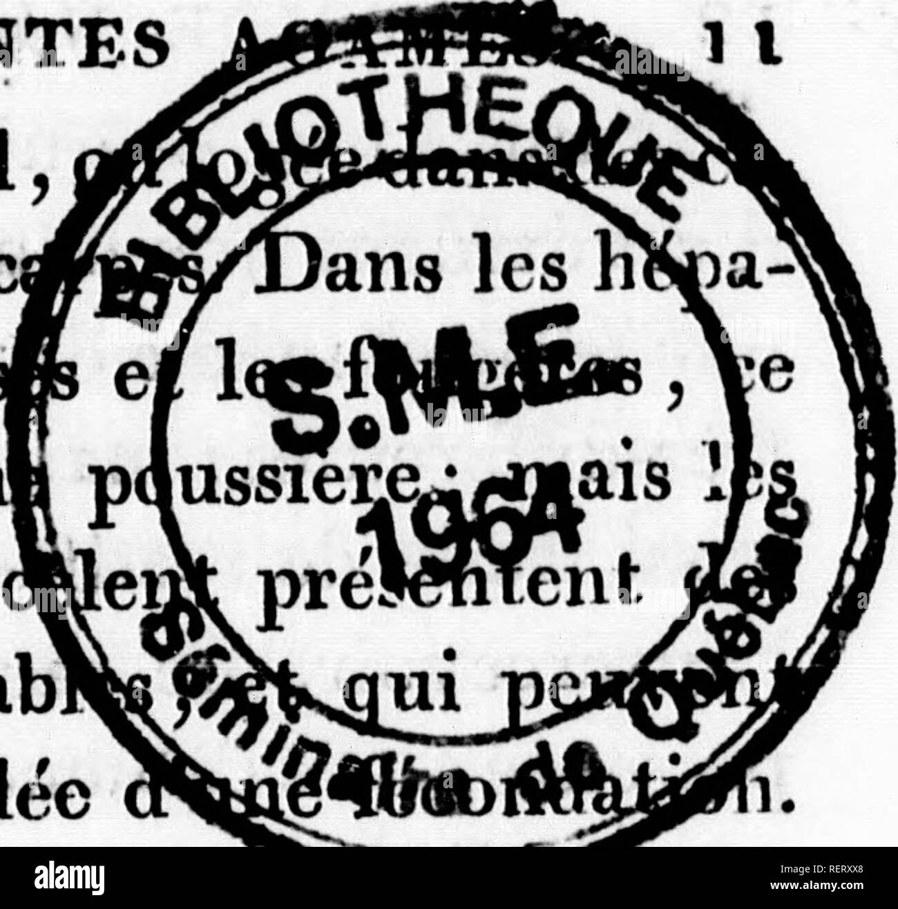 . Histoire Naturelle des vÃ©gÃ©taux classÃ©s par familles [microforme] : avec la citazione de la classe et de l'ordre de LinnÃ©, et l'indicazione de l'usage que l'on peut faire des plantes dans les arts, le commerce, l'agricoltura, le jardinage, la mÃ©decine, ecc des figure dessinÃ©es d'aprÃ¨ s natura, et onu generi complet, selon le systÃ¨ me de LinnÃ©, avec des renvois aux familles naturelles de A.L. de Jussieu. Botanique; Botanica. DES PLAINTES dovuto sur le vÃ©^Val vÃ®tes ou des pí©ricj tiques, les mouss n'est aussi qu'uni parti qui la ri( forme remarquabi bien rappeler l'idÃ©e sulla tenda seroit Foto Stock