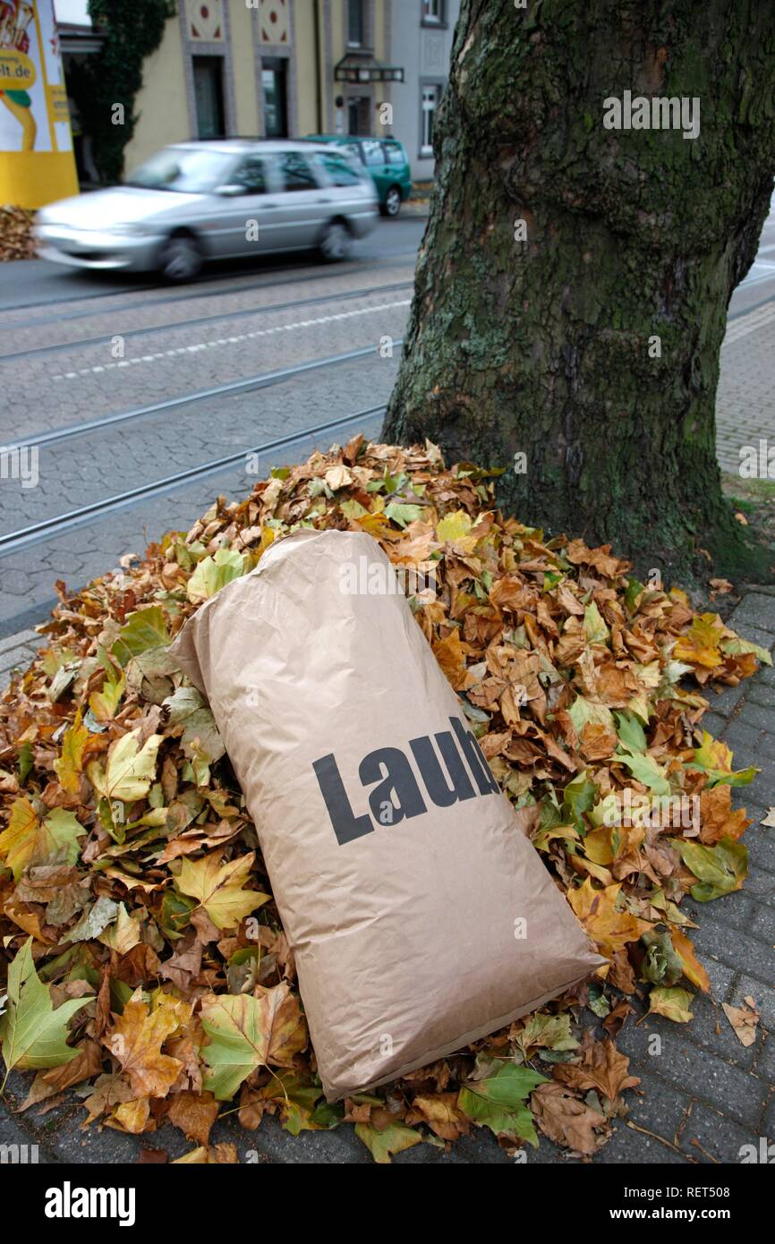 Sacchetto di carta per raccogliere le foglie in autunno, per disposizione dalla città società di pulizia, Essen, Renania settentrionale-Vestfalia Foto Stock
