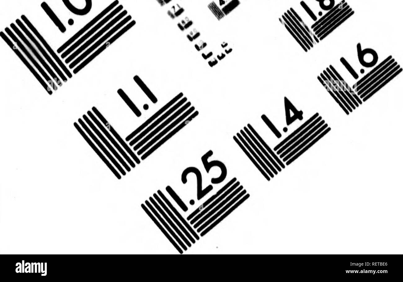 . Flora Americae Septentrionalis, o una disposizione sistematica e descrizione delle piante del Nord America [risorsa elettronica] : contenente, oltre a quanto è stato descritto da precedenti autori, molti nuovi e specie rare, raccolti durante i dodici anni di viaggi e di residenza in questo paese. La botanica. 'Ui ^&GT;, ^/^ â ^^'- oO.. Valutazione di immagine il bersaglio di test (MT-S) % A UN Si 7i 1.0 I.I 1.25 iM. MIS I, 50 â ^ 1^ 12.2 â â lifi 12,0 Hi 11= U IIIIII.6 vy ' V ^3 ."v'' '&GT;4 ^V^' / 7. Si prega di notare che queste immagini vengono estratte dalla pagina sottoposta a scansione di immagini che possono essere state migliorate digitalmente per reada Foto Stock