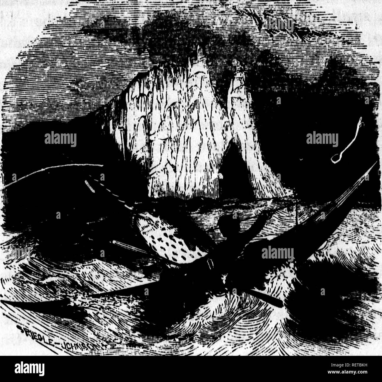 . L'oceano [microformati]. Biologia marina; animali marini; piante marine; Biologie; marino marini faune e flore marine. Vasca ABGIIG 8EA8. 168. Infilzare thb Narwhal. kernel di un dado. Di solito è il dente di sinistra che i progetti. Una notevole incertezza circa l'uso di questa lunga e di spirale brosmio. Alcuni hanno sup- poste che è utilizzato per la ricerca di cibo, rastrellando nel fango in corrispondenza del fondo o per perforare il ghiaccio sottile alla superficie per ottenere accesso all'aria; ma il Sig. Scoresby sembra aver gettato luce notevole su di esso, avendo incontrato con un individuo in cui stomaco, tra i resti di ot Foto Stock