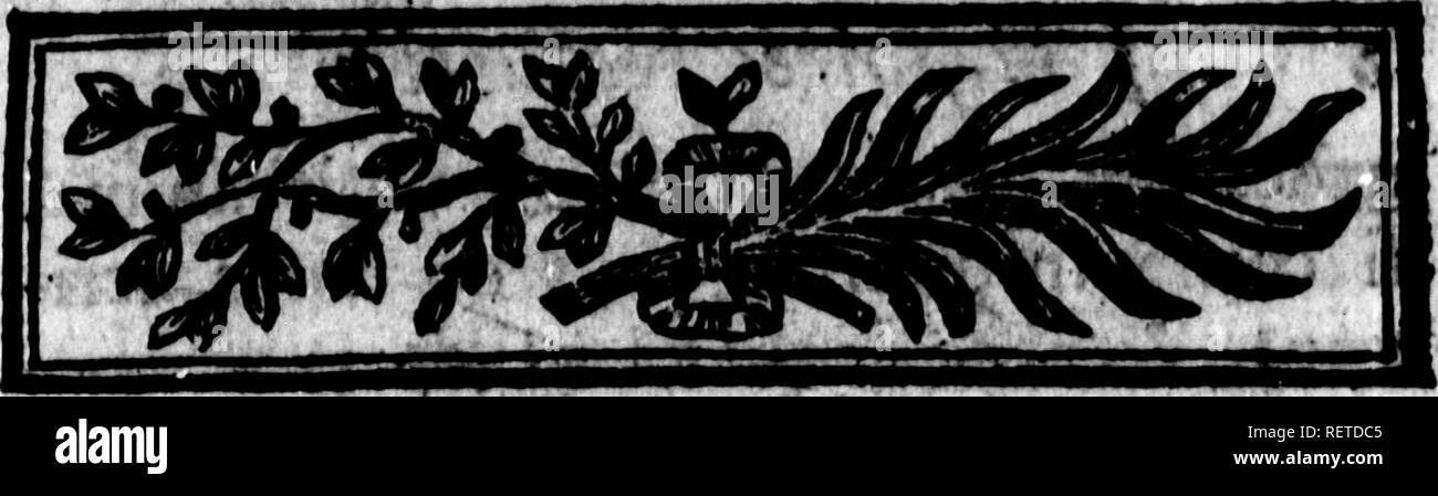 . Histoire Naturelle des quadrupèdes ovipares et des serpens [microforme]. Rettili; rettili. HISTOIRE NATURELLE 'des QUADRUPEDES OVIEARES/ ?;i I , .,11 'rUfffaegaMsgaâtfeay TROISIÈME DIVISION. LÉ ZARD S :"' Dont la coda ejl ronde ^ qui ont cfn^ doigts aux pieds de devant, &AMP; de^ bandes Jbus écailkufis le vinfre. LE LEZARP GRIS (a), t ho LÉZARD Gris paroît être ièpliis loux, le plus iimocent &AMP; l'ONU dç^ plii$ (û) Lagartija &AMP; Sargantana yen EJjfagnt; Ovipares. Tome IL A. Si prega di notare che queste immagini vengono estratte dalla pagina sottoposta a scansione di immagini che possono essere state migliorate digitalmente per rea Foto Stock