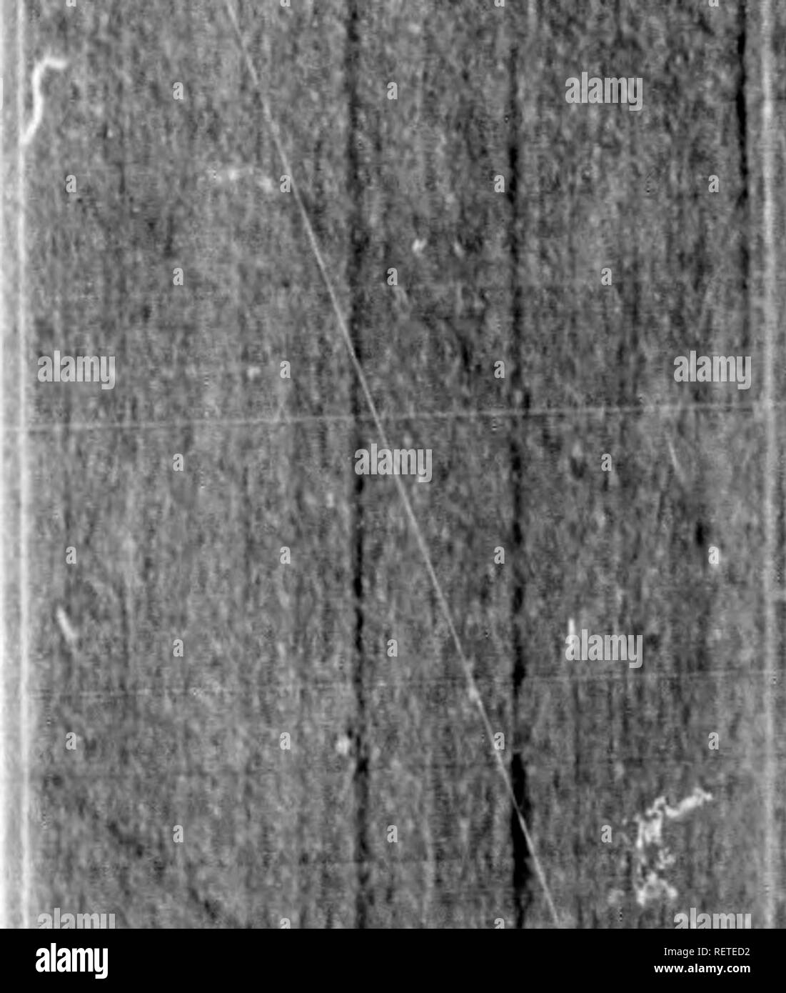 . La narrazione della scoperta e dell'avventura nei mari polari e regioni [microformati] : con le illustrazioni del loro clima, di geologia e di storia naturale ; e di un account della balena-pesca. Storia naturale; Sciences Naturelles. Clima. m facilmente soddisfare noi stessi da una breve retrospettiva dei principali fatti che sono stati registrati da camminatori. La Groenlandia in esso^ posizione e profilo generale, sembra assomigliare il vasto promontorio del Sud America. Da Cape Farevrell, il Staaten Hoek (dichiarato pro- montory) di navigatoi olandese-s, situato su un piccolo è- land alla latitudine di 60°, si stende, Foto Stock