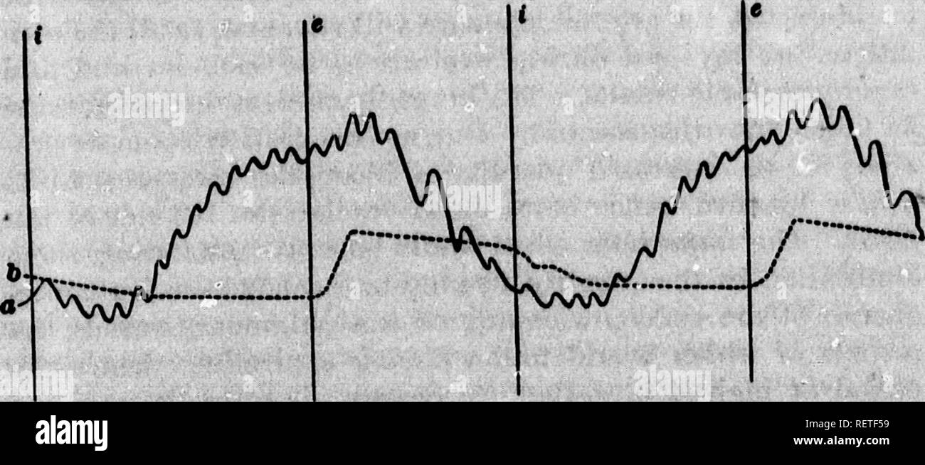 . Un libro di testo di fisiologia comparativa [microformati] : per gli studenti e gli operatori di confronto (veterinario) medicina. Fisiologia, confronto; Fisiologia Veterinaria; Physiologie comparÃ©e; Physiologie vÃ©tÃ©rinaire. Â HO Wiii4.*, : il sistema respiratorio. 897 iratory ed ex- ly modificati da giacciono vagi nervi; ing entrambi inhib- e tutta la pro^eRs io essere aelf-regula- e inibitorio in- di ispirazione; rbon biossido o ' , ? Considerando non indurre oon- foentage del gen per il tis- lore di concludere la mancanza di ossi- in eccesso di auto- ag che vigorosa di ripristinare il percorso UNC f- Btances. Il TBB radc e sangue- dur Foto Stock