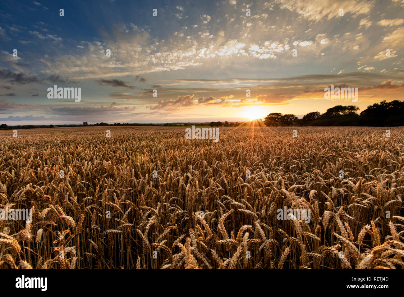 Nei pressi di Caistor, Lincolnshire, Regno Unito, luglio 2017, vista del Lincolnshire Wolds e un tramonto Foto Stock