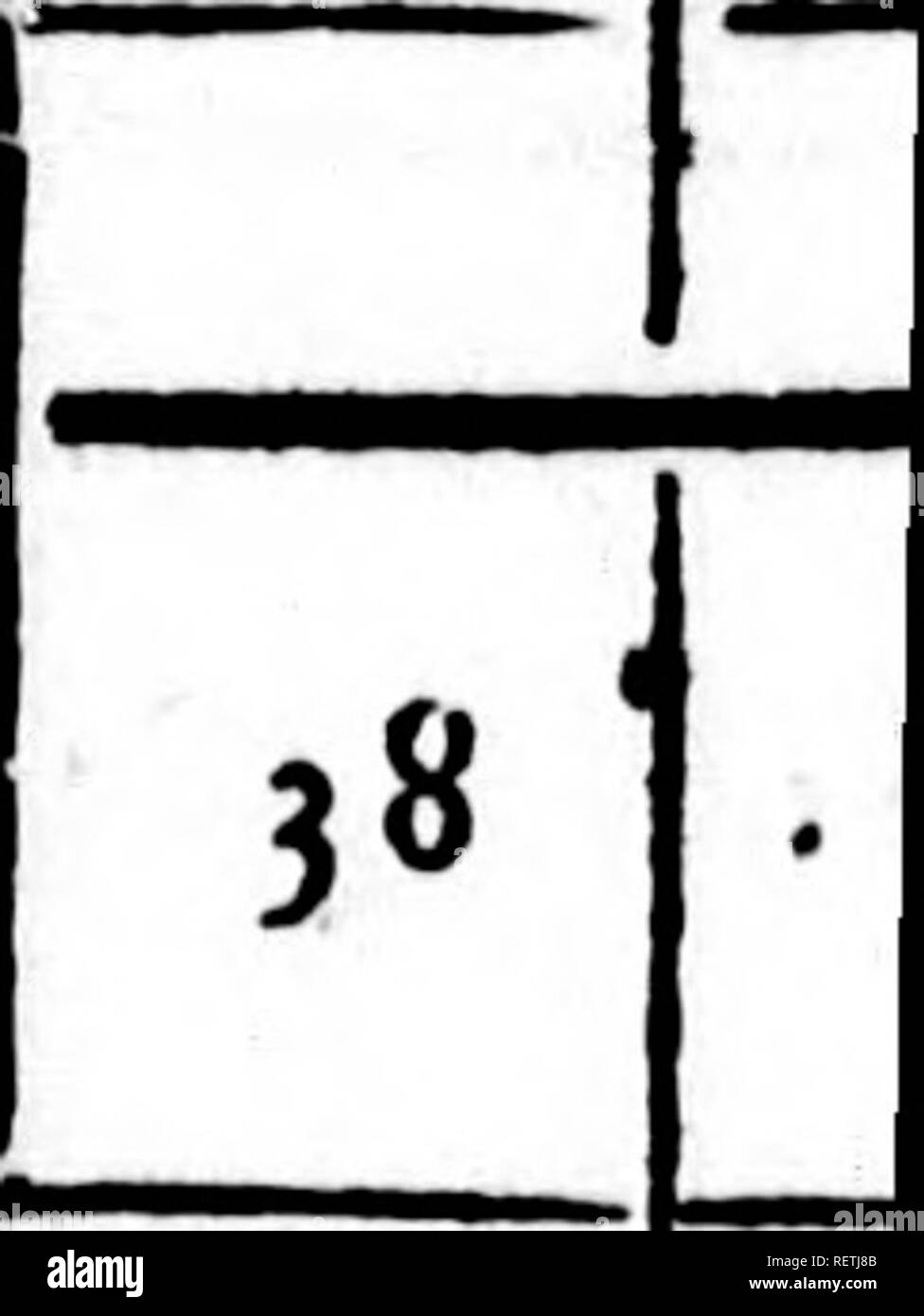 . Histoire Naturelle, générale et particulière [microforme]. Sciences Naturelles; storia naturale. 402 Hifloîre Nntttfelle 4-7 A N N 48 'ÉES 49 DE L 50 A V I 1 5" 7 10 40 E. ^ 9 9 3 47 3 68 10 12 50 14 20 18 59 . ^9 96 7" • 64. 57 96 8996 909 a 91(54 4097 9328 9385 9481 3804 4262 4193 4025 38&lt;îi 1 112 ,58 94 380 79 T52 ^7545 1770J ^449 17797 18177 18256 1 8408 6^6 6291 6197 58,7 575^. Si prega di notare che queste immagini vengono estratte dalla pagina sottoposta a scansione di immagini che possono essere state migliorate digitalmente per la leggibilità - Colorazione e aspetto di queste illustrazioni potrebbero non perfettamente assomigliano al orig Foto Stock