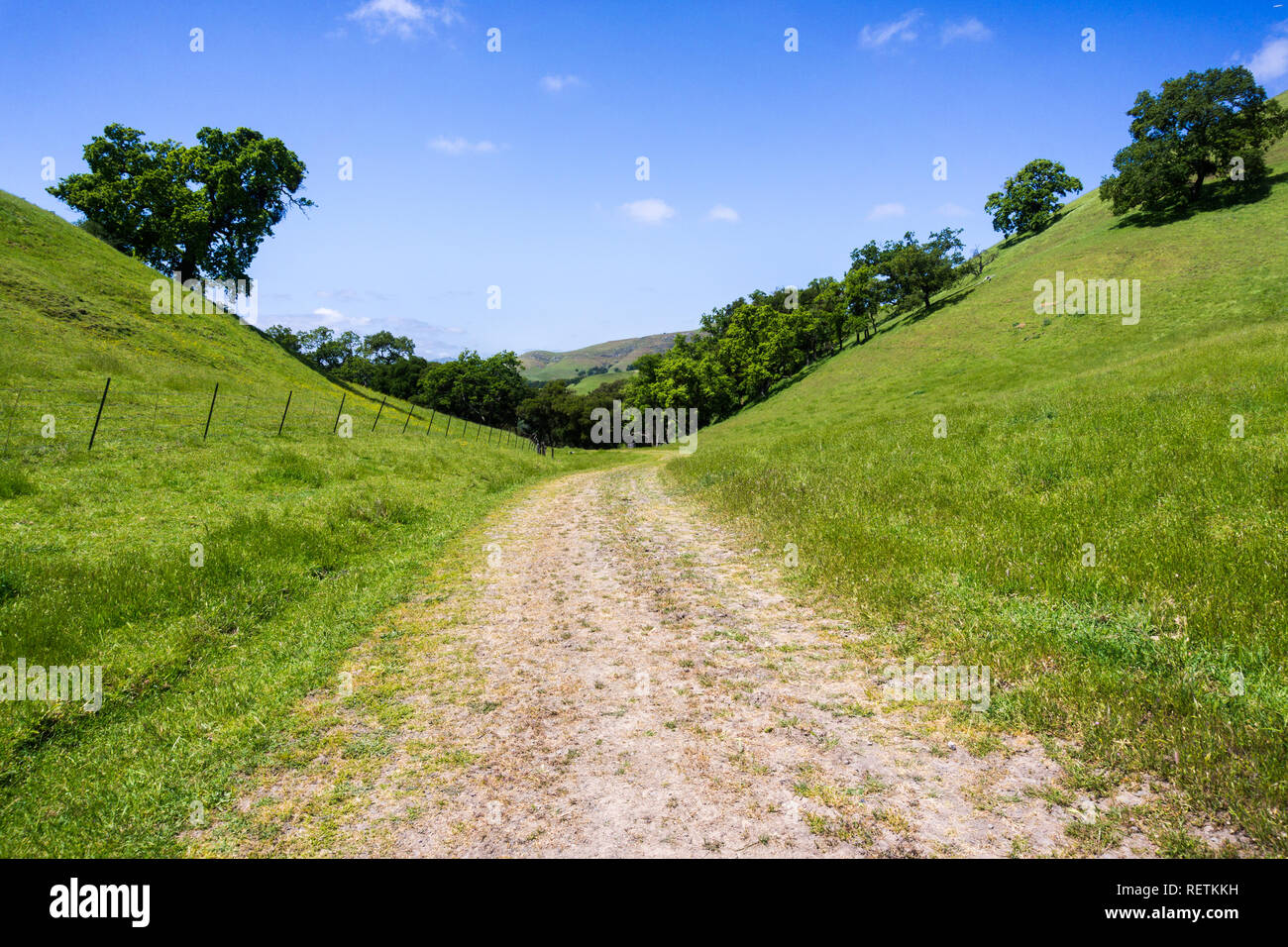 Sentiero in Sunol deserto regionale, east bay area di San Francisco, California Foto Stock