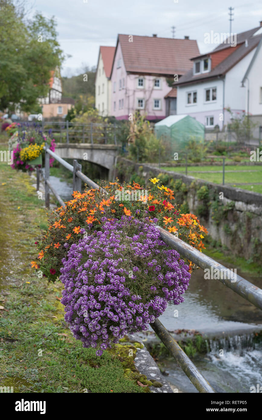 Sopra gardenflowers Little Creek, kocherstetten, kuenzelsau, hohenlohe regione, Baden-Wuerttemberg, Heilbronn-Franconia, Germania Foto Stock