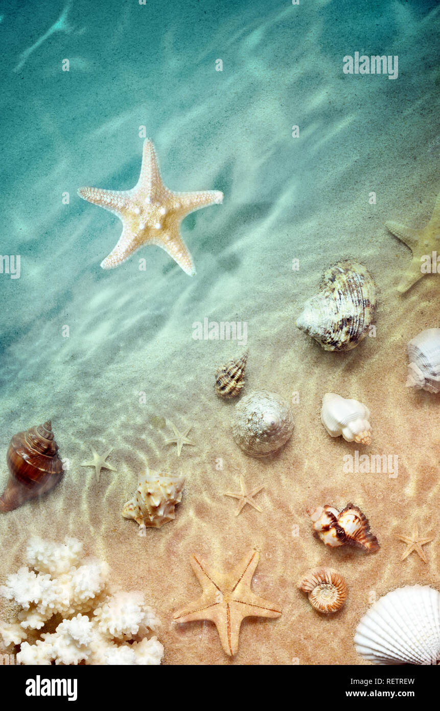 Starfish sull'estate spiaggia con sabbia e wave. Estate sfondo. L'estate. Foto Stock