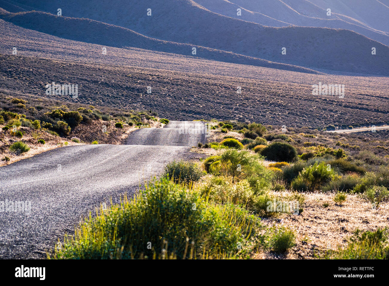 Emigrante Canyon Road attraversando una valle bagnata nella luce del tramonto, il Parco Nazionale della Valle della Morte, California Foto Stock