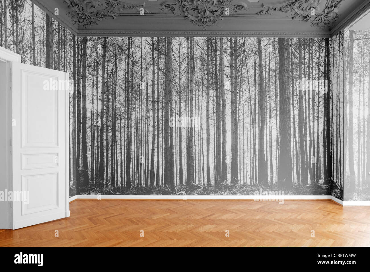 Stanza vuota con sfondo fotografico con foresta fotografia di paesaggi Foto Stock