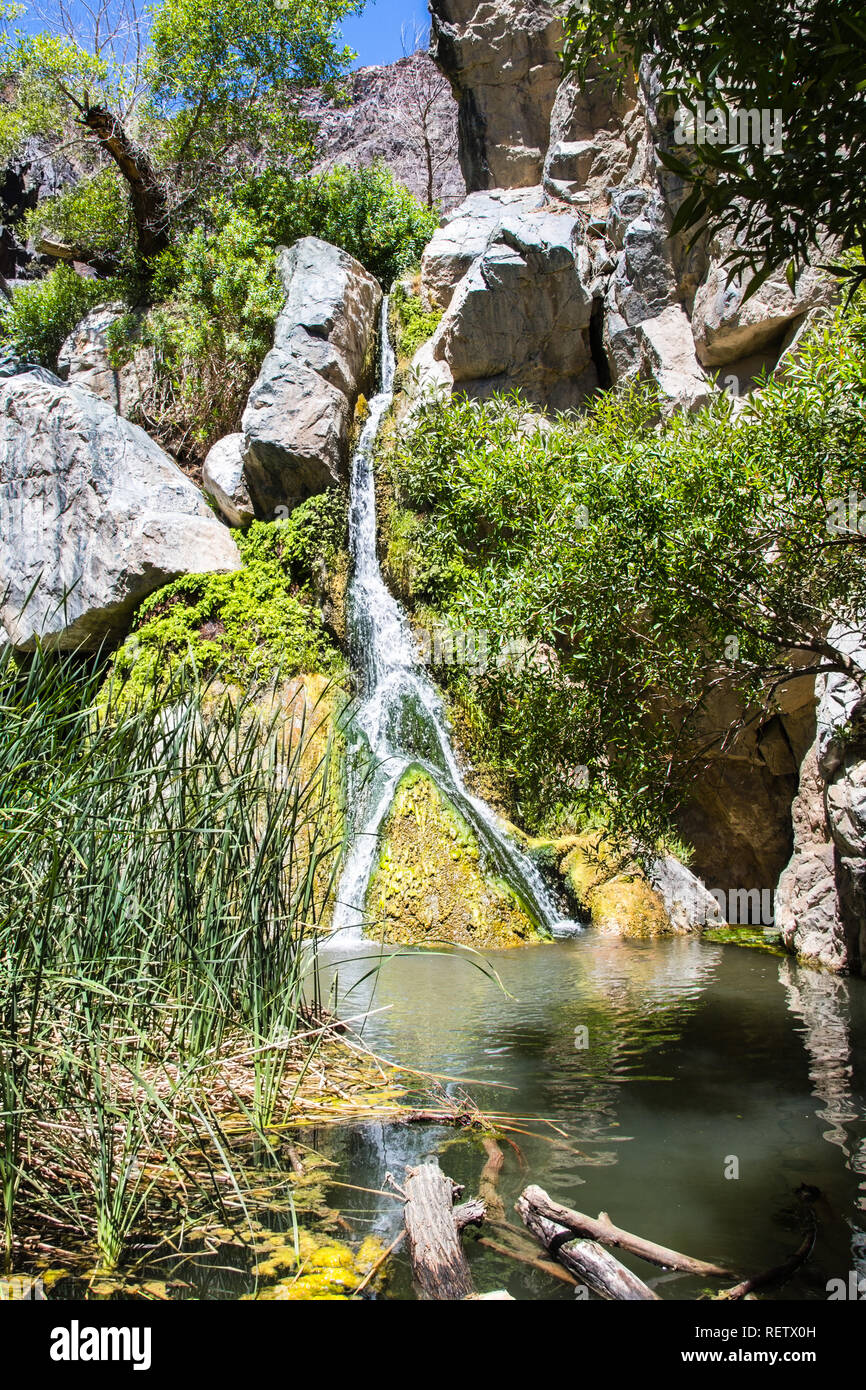 Darwin cade in una giornata di sole, Panamint Springs, area parco nazionale della Valle della Morte, California Foto Stock