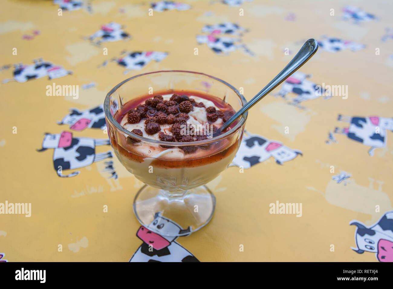 Dolce tradizionale con yogurt e frutta di montagna Foto Stock