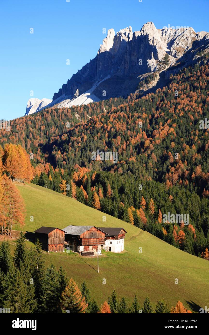Il Passo delle Erbe, mountain pass in Val di Funes, Bolzano, Italia, Europa Foto Stock