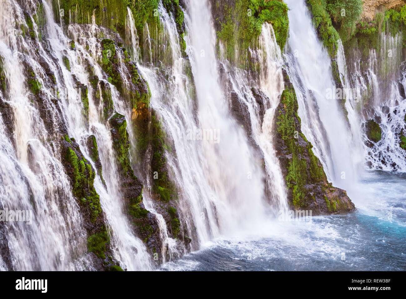 McArthur-Burney cade in Shasta Foresta Nazionale, la California del nord Foto Stock