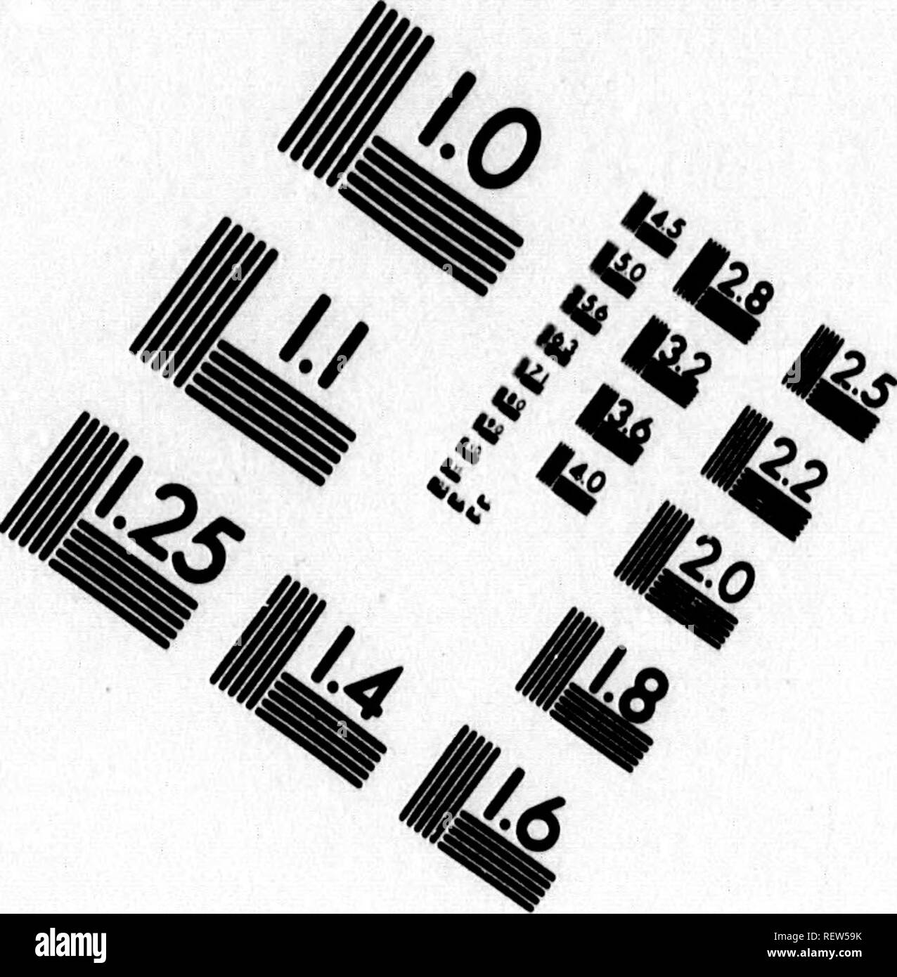 . La zoologia del viaggio di H.M.S. Herald [microformati] : sotto il comando del capitano Henry Kellet, R.N., C.B., durante gli anni 1845-51. Paleontologia; rettili fossili; mammiferi fossili; pesci fossili; PalÃ©ontologie; rettili fossiles; MammifÃ¨res fossiles; poissons fossiles. Valutazione di immagine il bersaglio di test (MT-3). 1.0 I.I â 1112.8 |2,5 US 1^ 12,2 UI Hi 1.25 WO 1.4 11.6 â 6" (P&GT; ^ 7:. Si prega di notare che queste immagini vengono estratte dalla pagina sottoposta a scansione di immagini che possono essere state migliorate digitalmente per la leggibilità - Colorazione e aspetto di queste illustrazioni potrebbero non perfettamente assomigliano a th Foto Stock