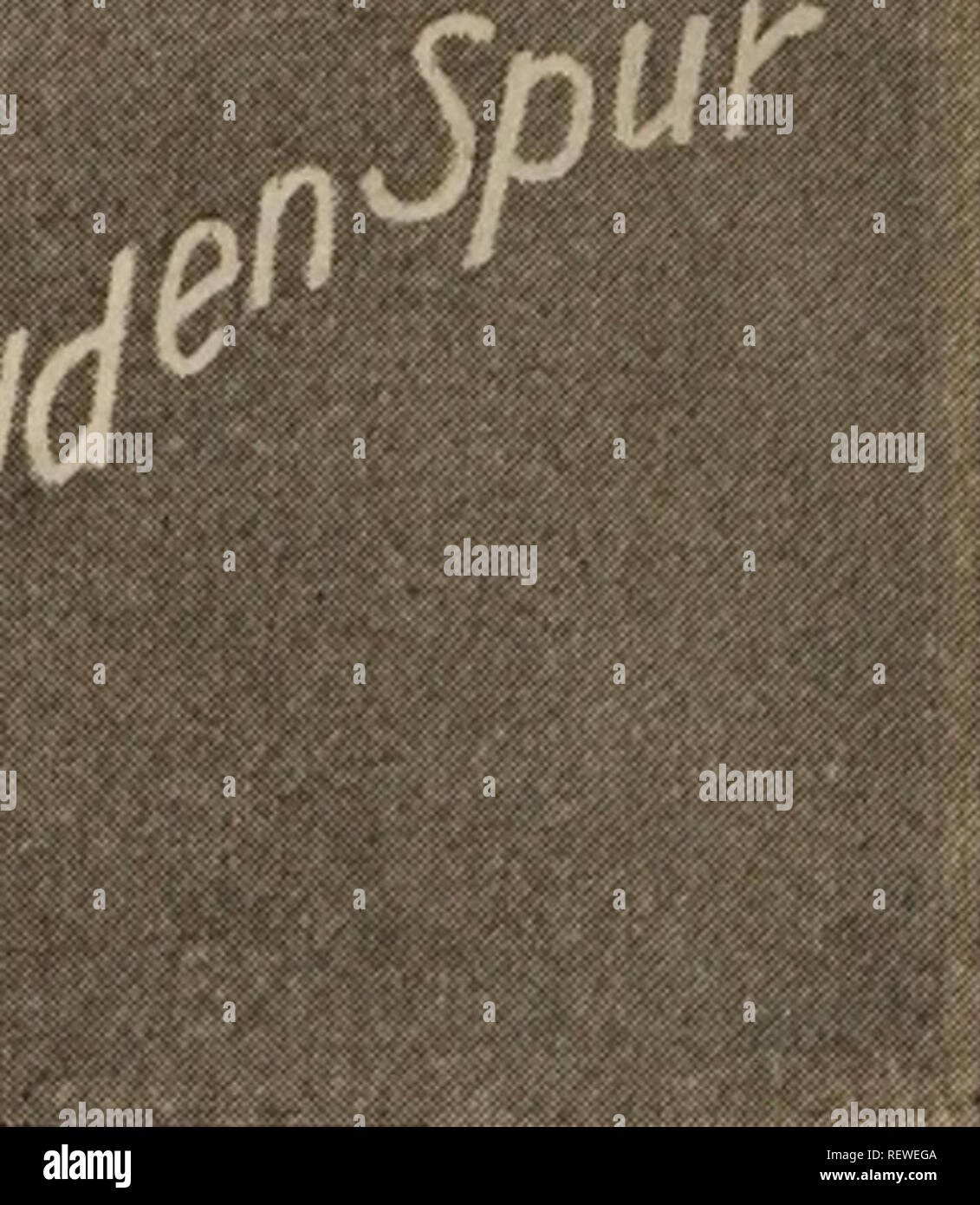 . Dreer all'ingrosso listino prezzi / Henry A. Dreer.. Catalogo di vivaio. . Si prega di notare che queste immagini vengono estratte dalla pagina sottoposta a scansione di immagini che possono essere state migliorate digitalmente per la leggibilità - Colorazione e aspetto di queste illustrazioni potrebbero non perfettamente assomigliano al lavoro originale. Dreer, Henry A. (Azienda); Dreer, Henry A. (Azienda). La società Foto Stock