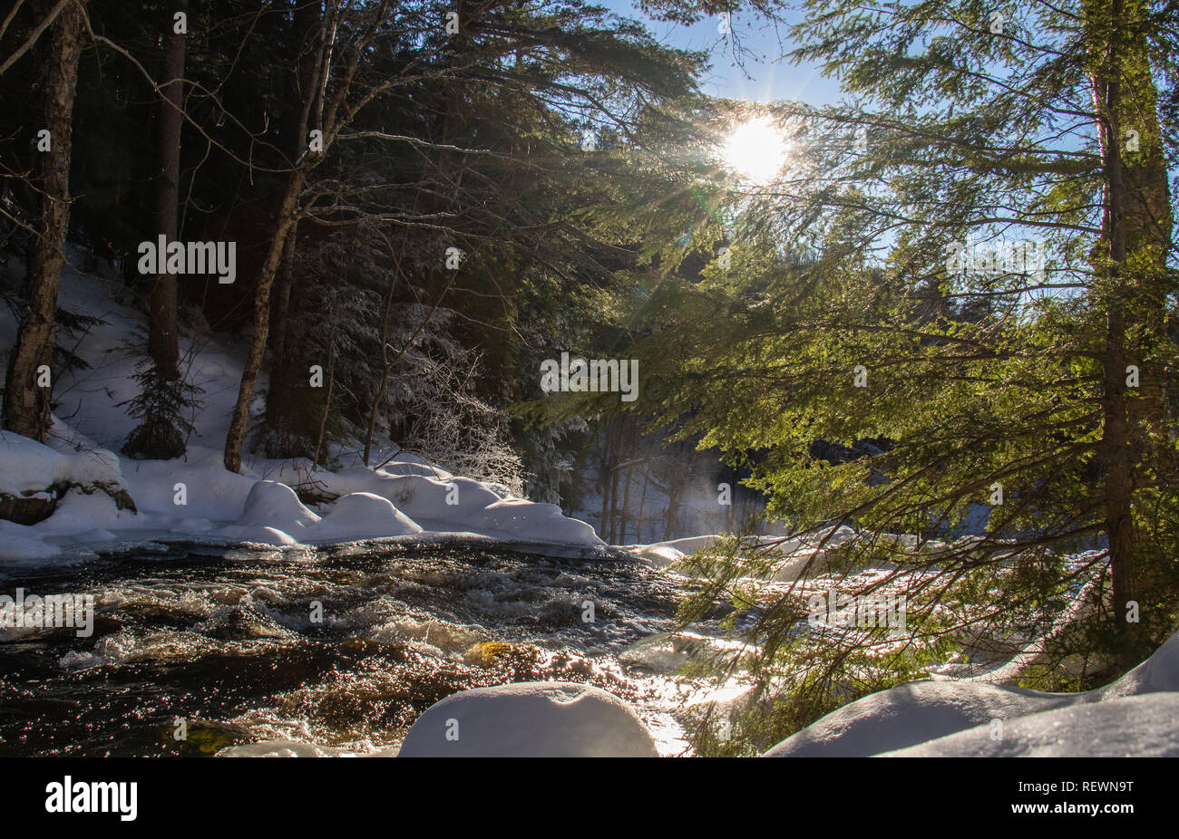 Correndo acqua ghiacciata ed un evergreen retroilluminato a Stubbs rientra nel Parco Arrowhead Ontario. Foto Stock