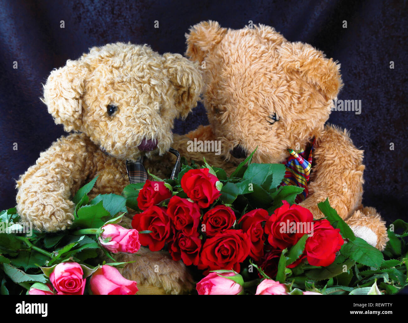 Orso di rose rosse