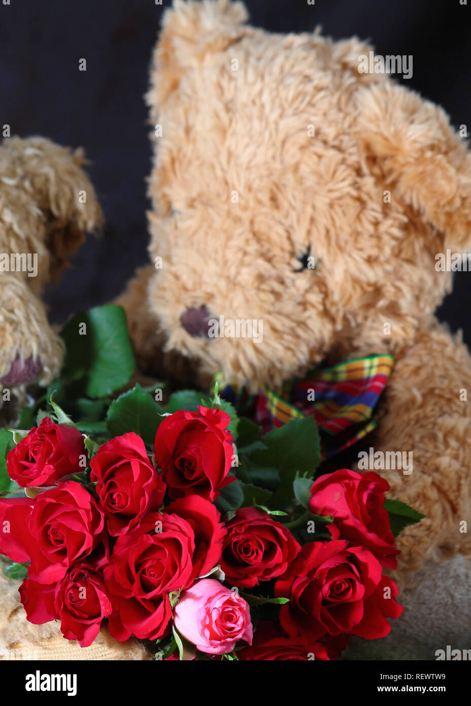Mascotte, Rose Rosse E Cuori Dell'orsacchiotto Per Il San Valentino  Fotografia Stock - Immagine di angeli, regalo: 137089904