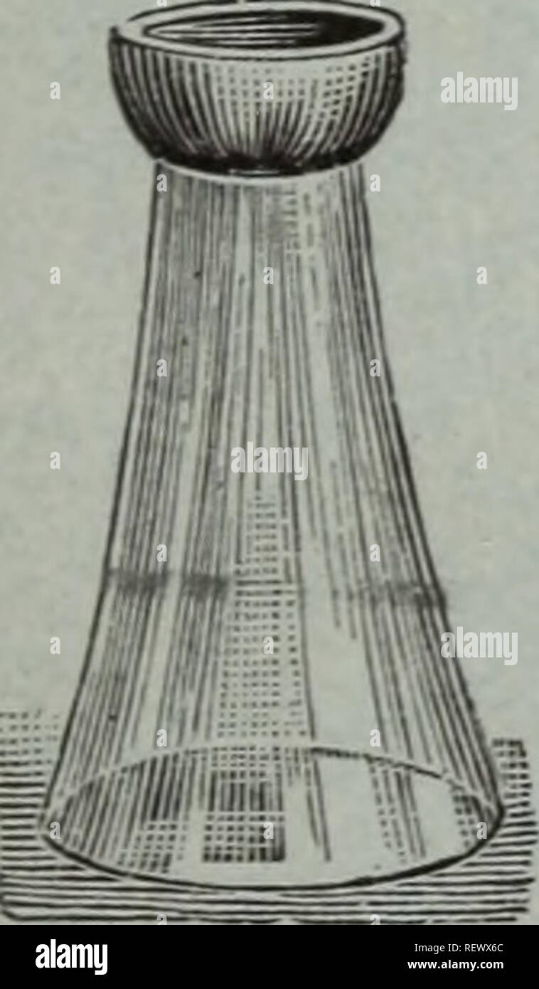 . Dreer all'ingrosso listino prezzi / Henry A. Dreer.. Catalogo di vivaio. Fatta di cedro bianco, verniciato di verde, con forte elec- tric-filo saldato cerchi. Le tre dimensioni più grandi sono dotati di maniglie. Una buona vasca pesanti, molto resistente. Al di fuori di lunghezza interna n. Diam. Diam. di ciascuna doga Doz. 100 A 11. 10 a. 12 a. . $0 65 $7 15 $55 00 B 12'/i. 11 a. 12 a. . 75 8 25 65 00 C 13%. 12 a. 13 a. . 85 9 35 75 00 14 D'/4 a. 13 a. 14 a. . 1 00 11 00 90 00 e 15%. 14 a. 14 a. . 1 25 13 75 110 00 F 16'/4 a. 15 a. 15 in . . 1 50 16 50 130 00 dimensioni ?8-a. 11-in. Lunghezza della doga 9-a. 9-a. Secchio speciale Foto Stock