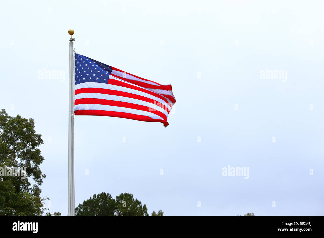 Bandiera americana sventola sul palo contro sky e alberi Foto Stock