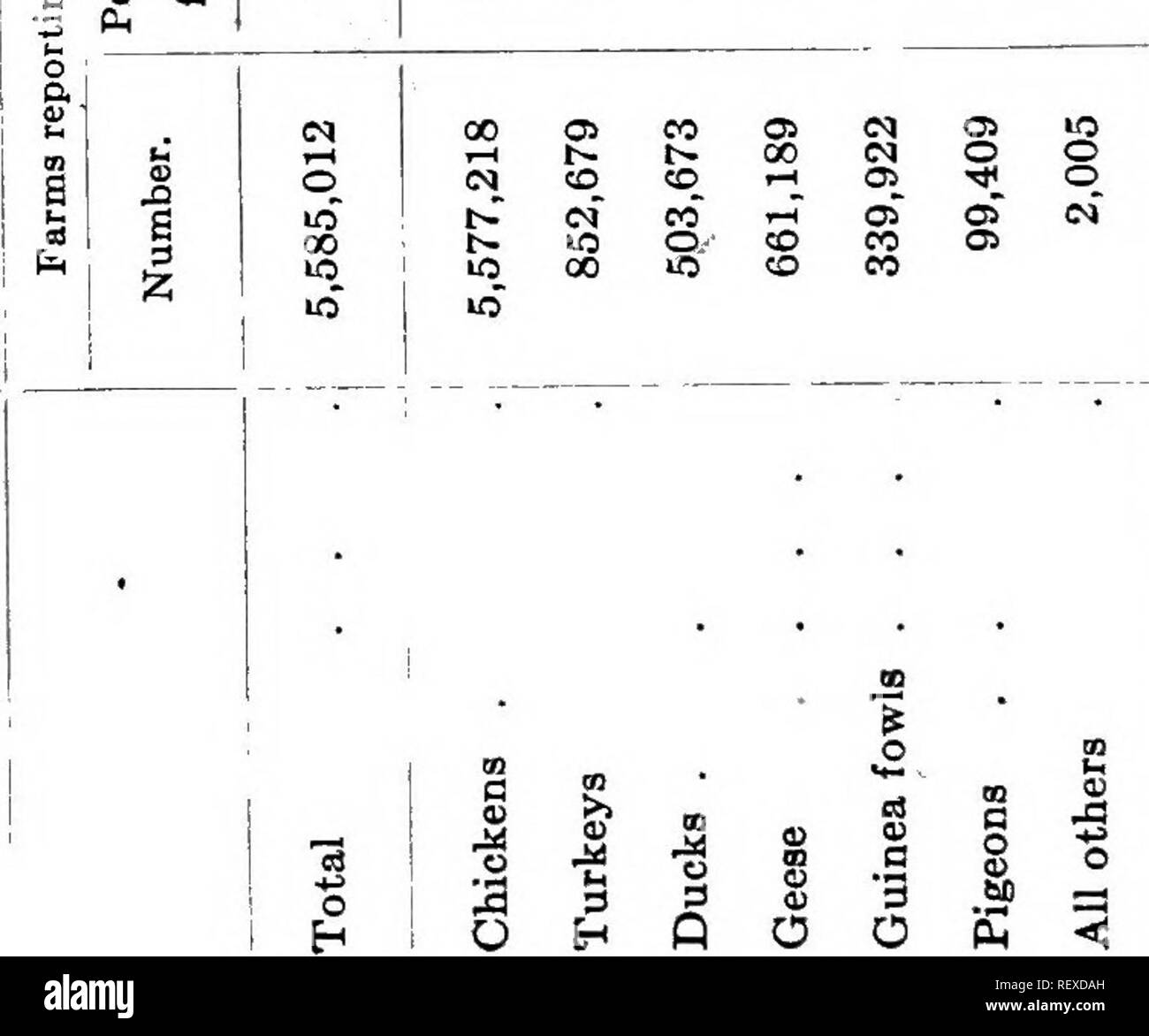 . La produzione di pollame. Il pollame. 18 LA PRODUZIONE DI POLLAME K â cen crease numb 1900 00 o T 1 Oi 1-H w T 1 T 1 â ¢^ iH ^ su â 3 . CO CO o  TjT lO (D CT ag CD Â"o" t- ^- f - M CO â * z S S5 â * ^ * Er IM O Oi CO Â Â"o OS O rH CO O CD CD CO Ol 05 CO CO CO -^ "^ &LT;M CO CO CD o 00 -^ I-H lO ^ 00 o CO CO O) t}&LT; o CO (N TT&LT; 1 CI PL, Â" I-t o TJ&LT; ffi â * â * a 00 00 CO t o lO f-l ho 00 1 CO ^ 3 Pi n n. ,2 â¢n li 3 o e â 3 ^ (-* g o y bO -^ o CU &lt;!. Si prega di notare che queste immagini vengono estratte dalla pagina sottoposta a scansione di immagini che possono essere state migliorate digitalmente per la leggibilità - colorat Foto Stock