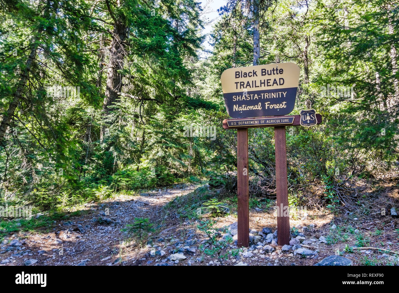 'Black Butte' trail in testa Shasta-Trinity National Forest, Siskiyou County, California settentrionale Foto Stock