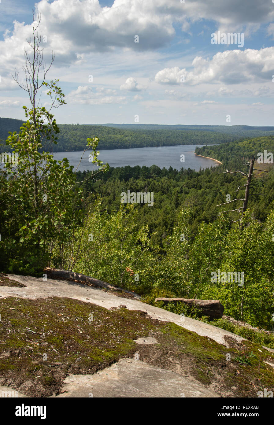 Vista dalla cabina Rock belvedere sopra Algonquin Park in perfetto cielo estivo Foto Stock