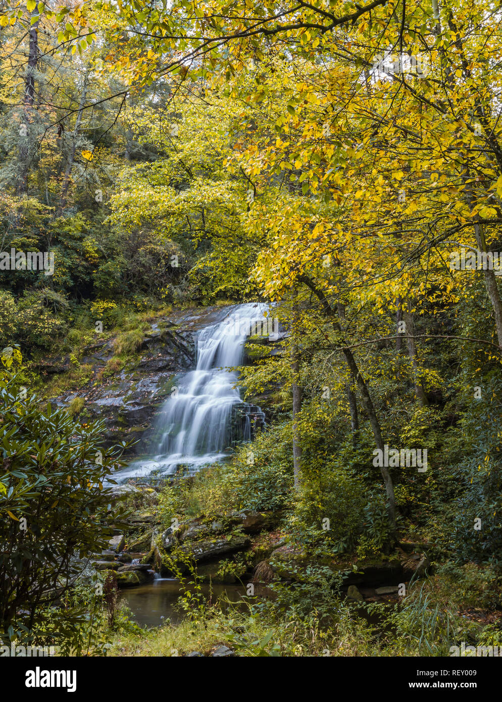 Cascata circondata da Giallo Autunno a colori nella foresta Foto Stock