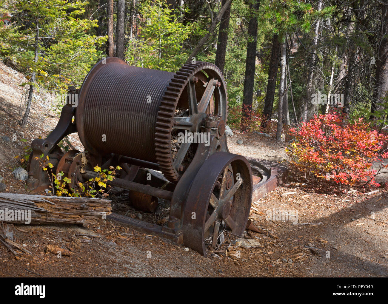 MT00300-00...MONTANA - un piccolo vapore verricello motorizzato per aiuto con il sollevamento di carichi pesanti di minerale di rock di pozzi di miniera si trova nella foresta lungo la Sierra Min Foto Stock