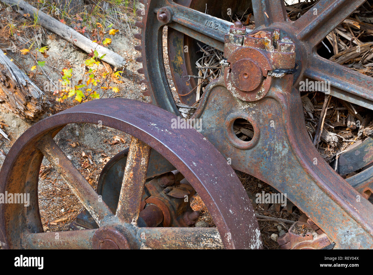 MT00303-00...MONTANA - Close-up di ruote su un piccolo vapore verricello motorizzato per aiuto con il sollevamento di carichi pesanti di minerale di rock di pozzi di miniera si trova nella fores Foto Stock