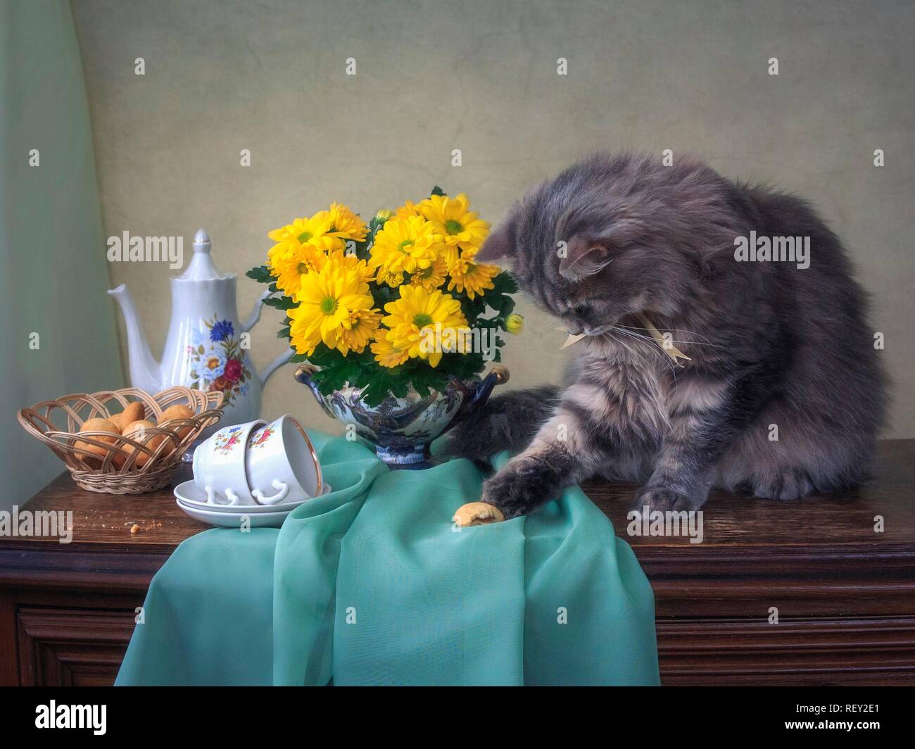 Ancora in vita con il tè del mattino e curioso kitty Foto Stock