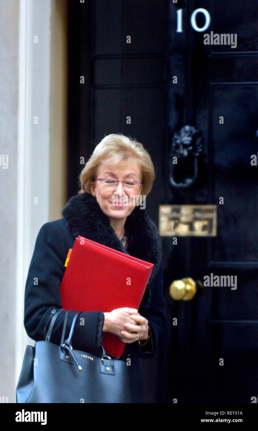 Andrea Leadsom MP (Cost: Sud Northamptonshire) leader della House of Commons, lasciando 10 Downing Street dopo una riunione del gabinetto, 22.01.2019 Foto Stock