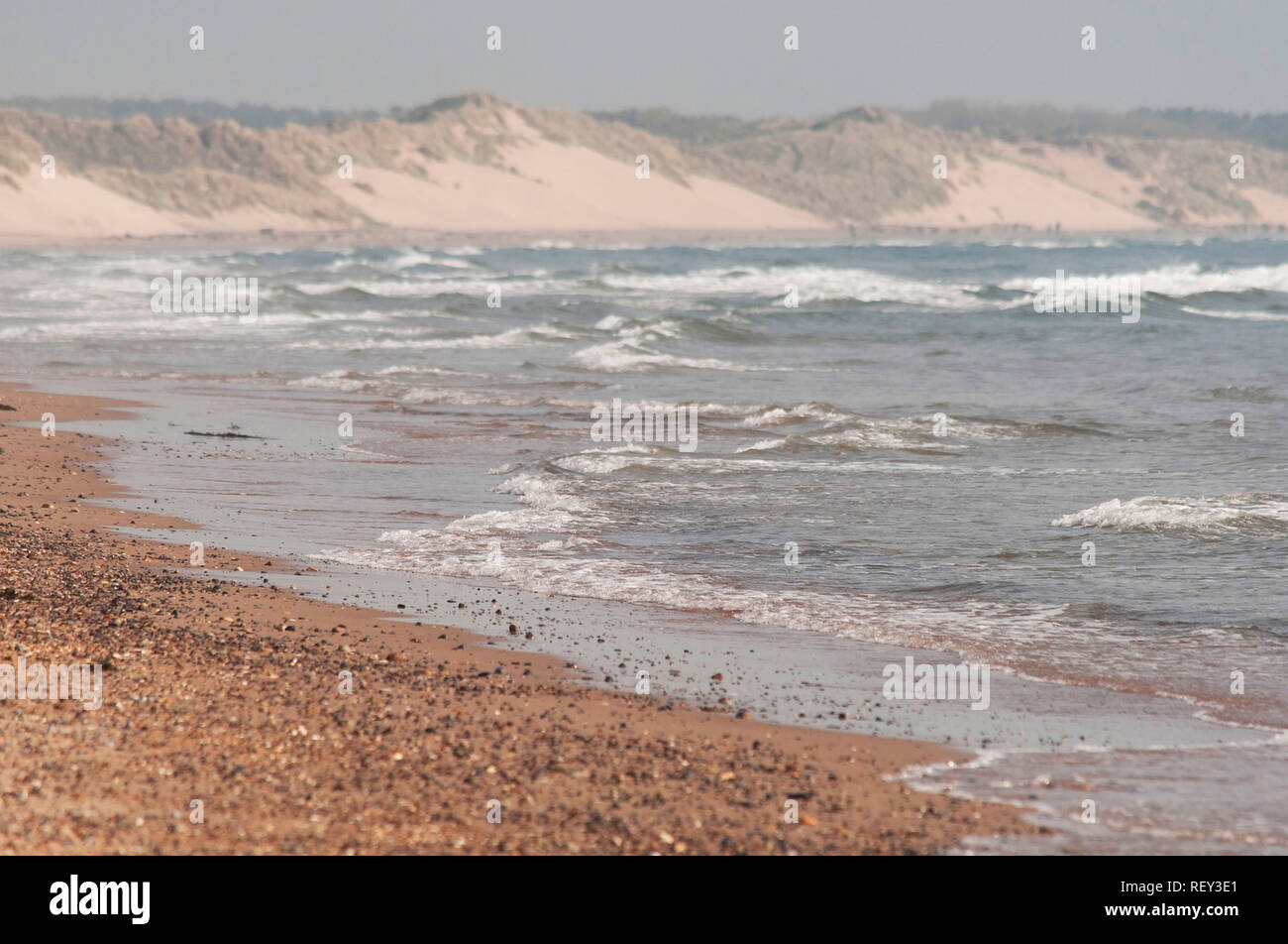 Le dune di sabbia a Druridge Bay, Northumberland Foto Stock
