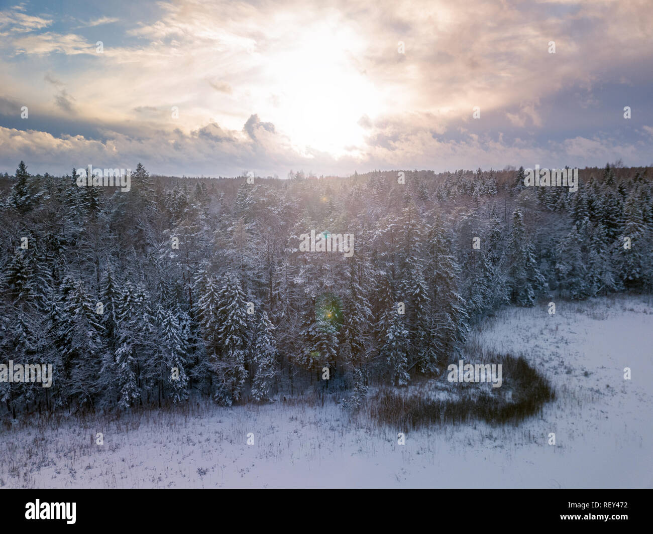 Inverno foresta con il pupazzo di neve alberi, vista aerea. La lituania Foto Stock