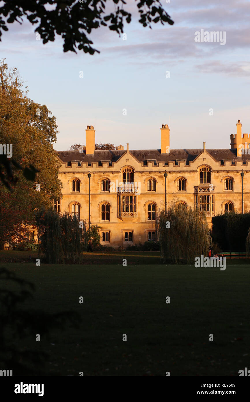 La libreria di Wren in Trinity College di Cambridge, Inghilterra Foto Stock