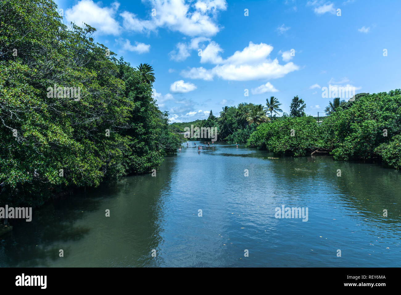 Flusso Anahulu in Haleiwa, Oahu, Hawaii Foto Stock