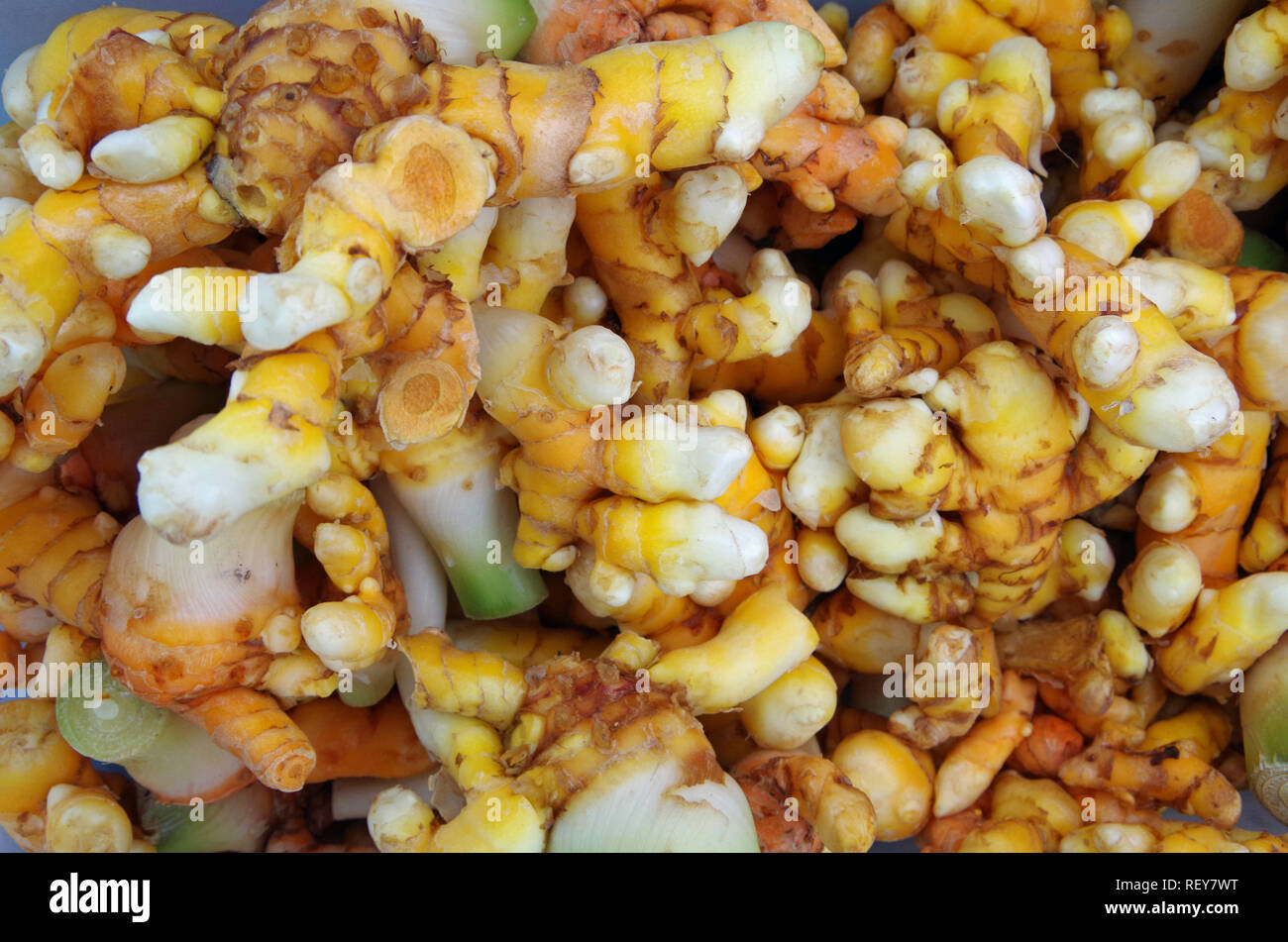 Fresh cut Curcuma radici closeup Foto Stock