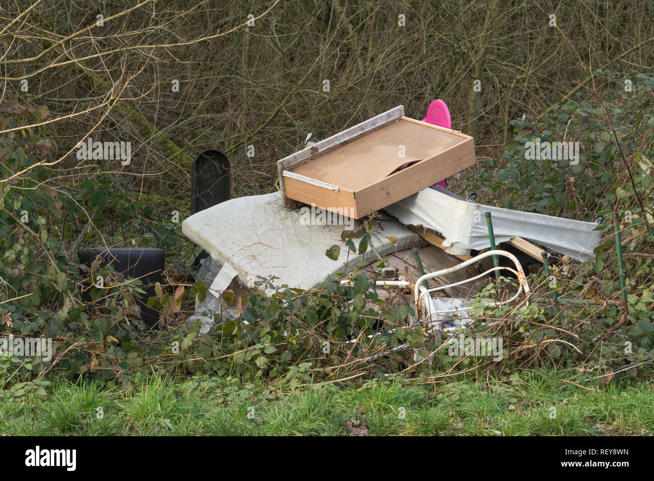 Volare con punta di rifiuti smaltiti illegalmente e incautamente in campagna. Volare il ribaltamento, rifiuti cucciolata Foto Stock