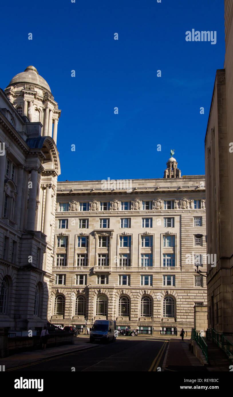 Uccello di fegato oltre la Cunard Building Foto Stock