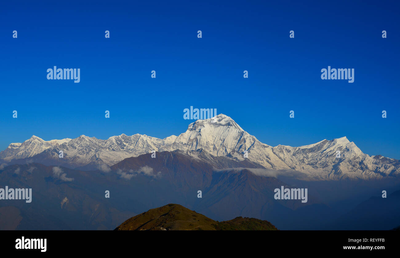 Belle cime innevate della catena Hannapurna, Nepal. Annapurna include un picco di oltre 8 mila metri, tredici cime oltre i 7.000 metri. Foto Stock