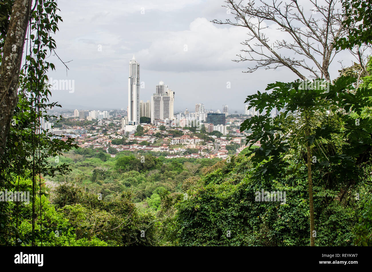 Panama skyline della città come si vede dal Metropolita Parco Nazionale Foto Stock