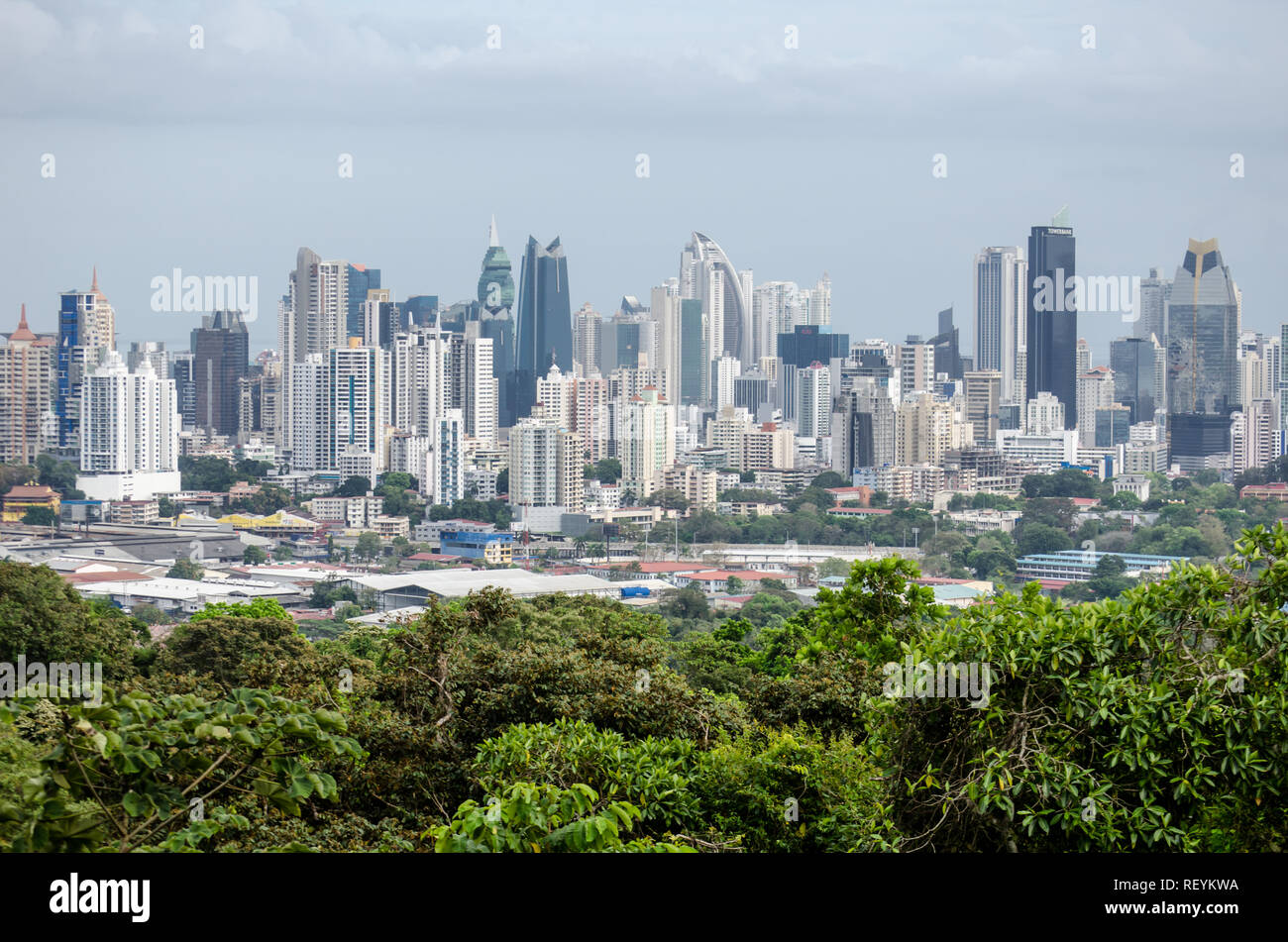 Panama skyline della città come si vede dal Metropolita Parco Nazionale Foto Stock